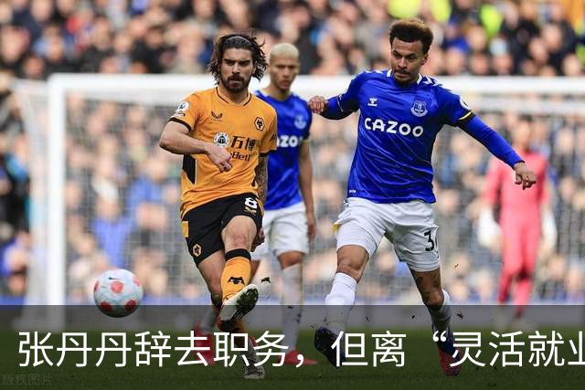 张丹丹辞去职务，但离“灵活就业”还远得很！